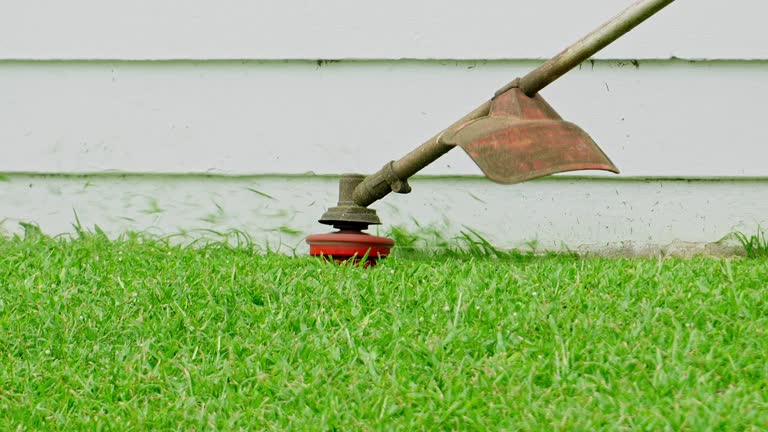 Best Lawn Maintenance Plans  in Indianola, WA